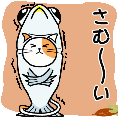 【動く】秋刀魚を被ったネコ(秋冬編)