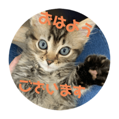 ウミくんスタンプ