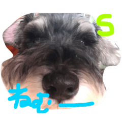 そらるいぽんの日常