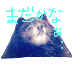 Grace's Ordinary Life