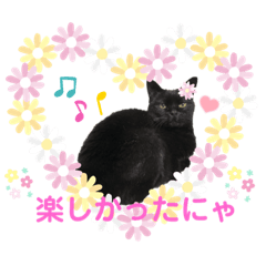愛しの黒猫ミーちゃんスタンプ♡　第2弾♬