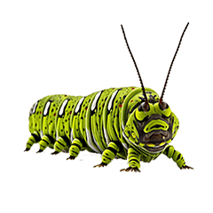 Insect Series - Caterpillar Dynamics