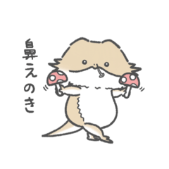 フトアゴづくし