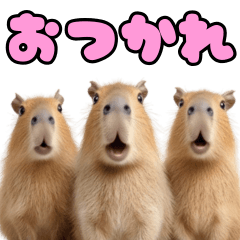 びっくり顔のカピバラ