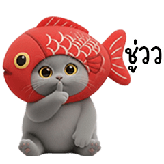 LIFE STYLE OF KORAT CAT WITH FANCY HAT