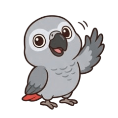 Yon the African Grey