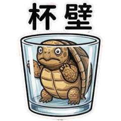 Indian Star Tortoise P1