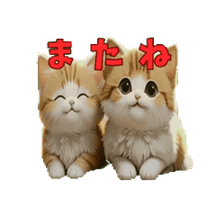 うちの猫、動きます。（楽しいアニメ編）