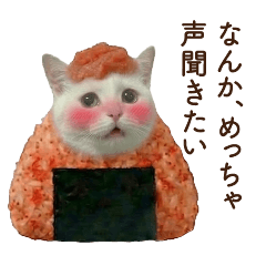 恋人にベタ惚れ中のめんたい白猫おにぎり