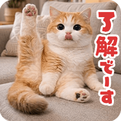 動く！リアル猫の日常5