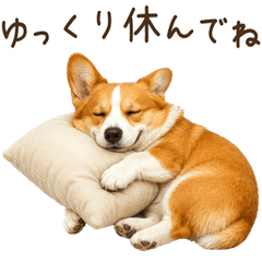 一年中使える♪コーギー