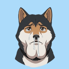最強の顎を持つ硬派な柴犬、「顎十郎」