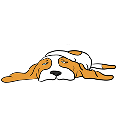 やる気の無い犬