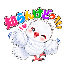 関西の銀鳩くん！