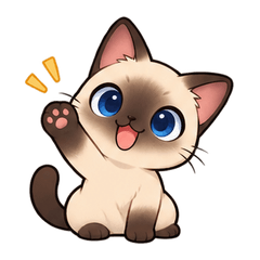 Cute Siamese Cat Daily Chat