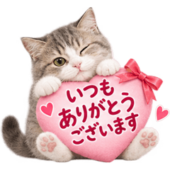 大人の実写ねこ♪毎日の敬語＆気づかい/猫