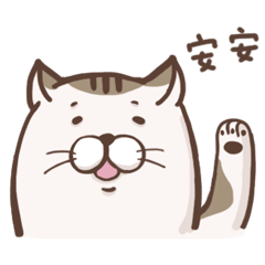 Pang's daily expressions