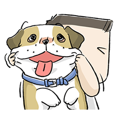 a dog person 2019 (boy version)