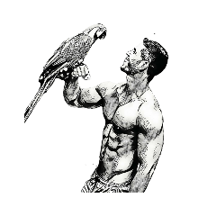 Pencilus Style Ver13