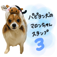 パピヨン犬のマロンちゃんスタンプ3