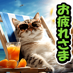 リアル⭐猫の夏休み