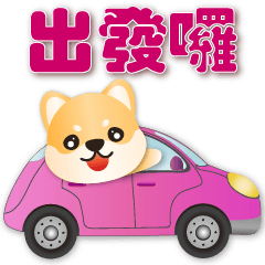 Cute Shiba -Daily practical-