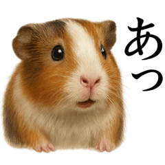 【叫ぶ！】リアルすぎるモルモットの絶叫