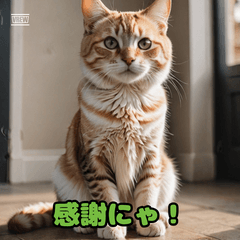 クリーム茶トラネコのスタンプ