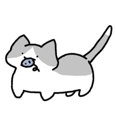 もっちりとした ねこ