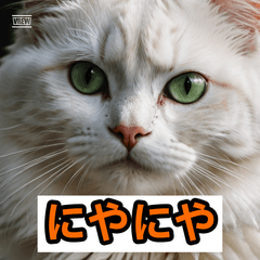 にゃんこの感情だだもれスタンプ