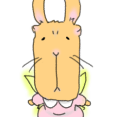 フェアリーカピバラうさぎ♡ウサかぴ