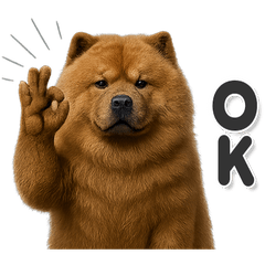 毎日使える！かわいいチャウチャウ