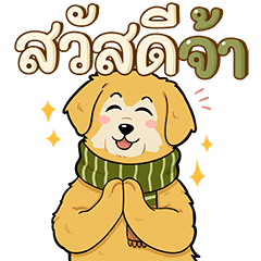 Petto Life. P A F (2020) CO., LTD.