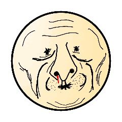 ハンサムガイ16