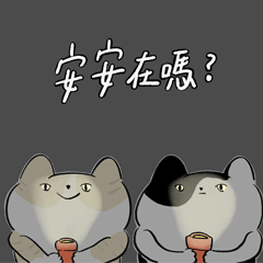 Mimi&MaoMao-Old to New Daily Talk