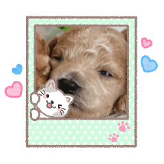 かっこいい！ころのスタンプ