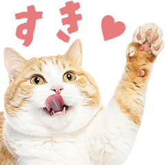 好きすぎて愛してる★デブ猫の逆襲★