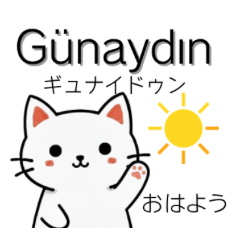 トルコ語の日常スタンプ(白ねこさん)