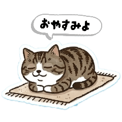 ねこの圧。④