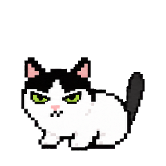 8bitcat