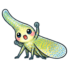 ふしぎな形 なが鼻ハゴロモ