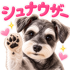 とびだす★ミニチュア シュナウザー★犬