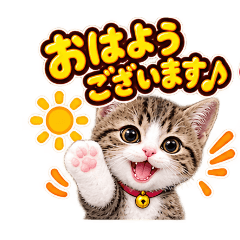 【毎日使える②】キジ白猫❤️