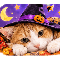 ビビちゃんのハロウィン仮装パーティー