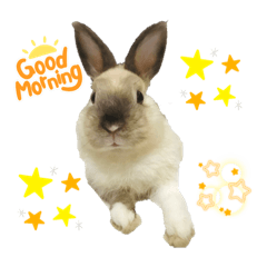 Kathy_20220127155023