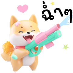 SHIBA CUTE CUTE 100%