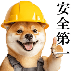 リアル柴犬★現場仕事