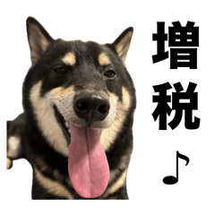 黒柴もずくの政治家っぽい用語集スタンプ