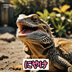 フトアゴヒゲトカゲの毎日スタンプ