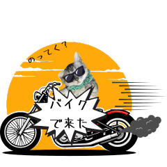 しらすたんぷ２